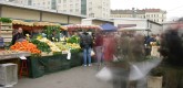 FIELD RESEARCH and preparations for a final Master project