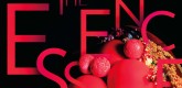 The Essence 2012