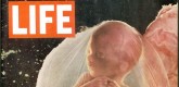 Popular Science