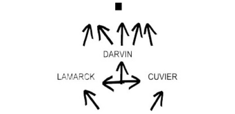 : 