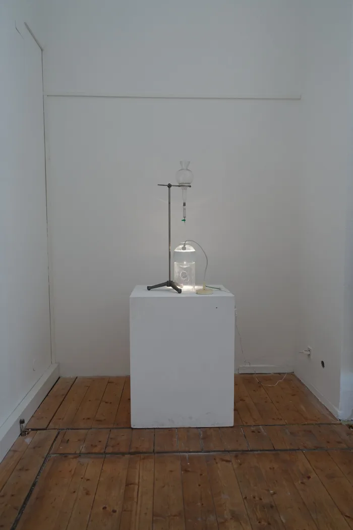 Margit Busch