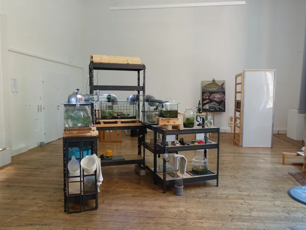 A Garden for a fish