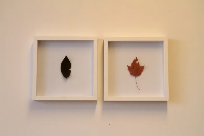 A Leaf Showed Me The Way