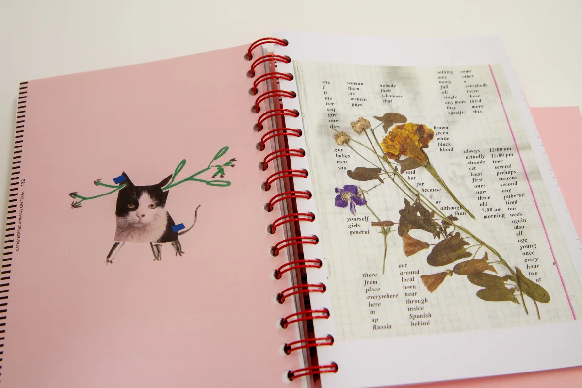 Always – Please – Timetable