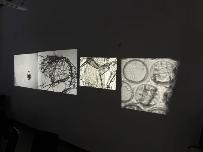 Fotos analog projections — Martin Reinhart