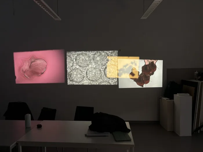 Fotos analog projections — Martin Reinhart