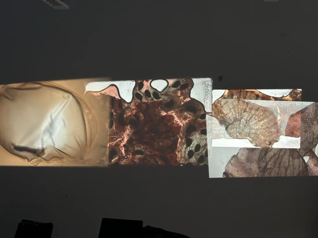 Analogue Aesthetics – Handmade Projections