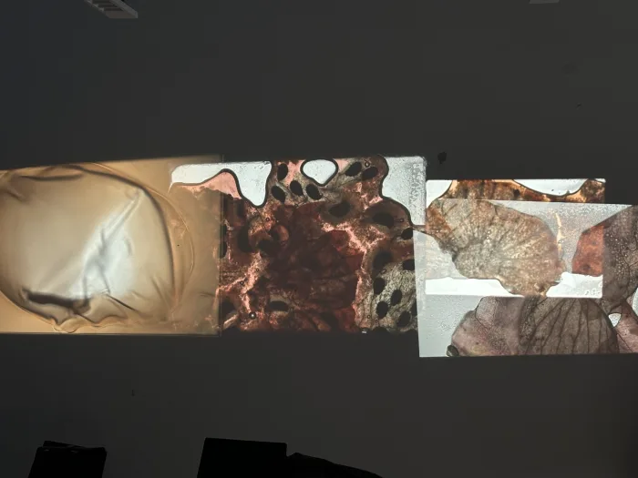 Analogue Aesthetics – Handmade Projections