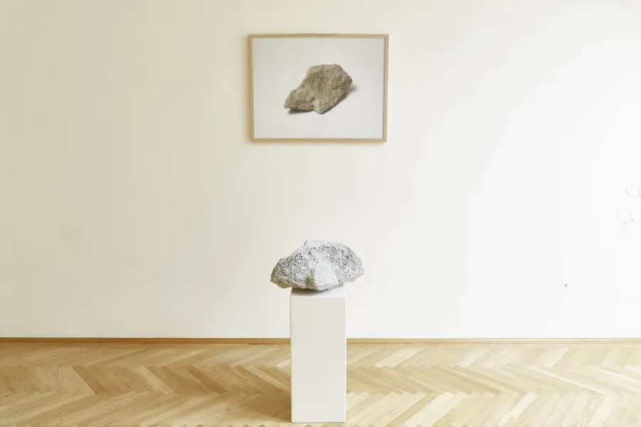 Animal Laborans, Homo Faber