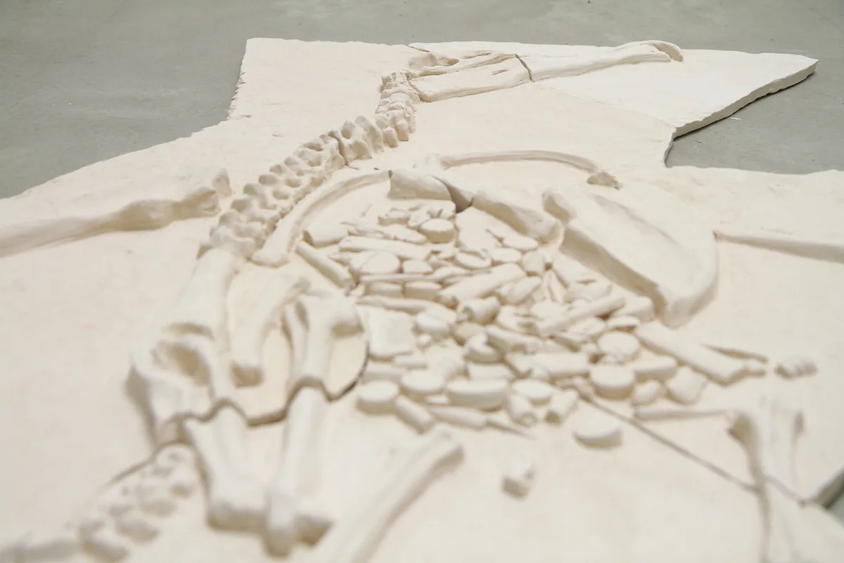 Anthropofossils