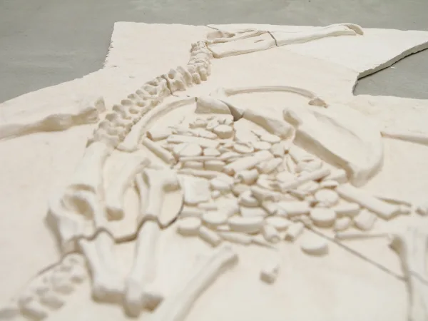 Anthropofossils