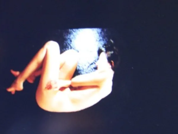 Anthroposcope