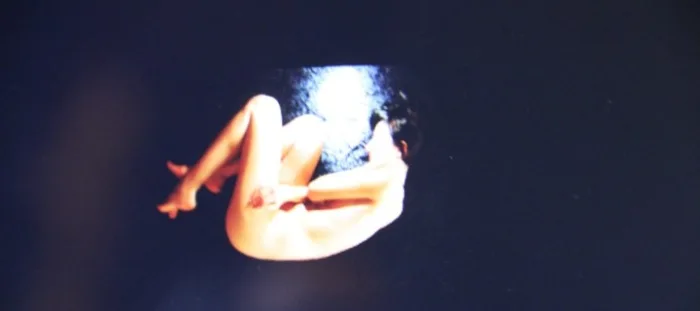 Anthroposcope