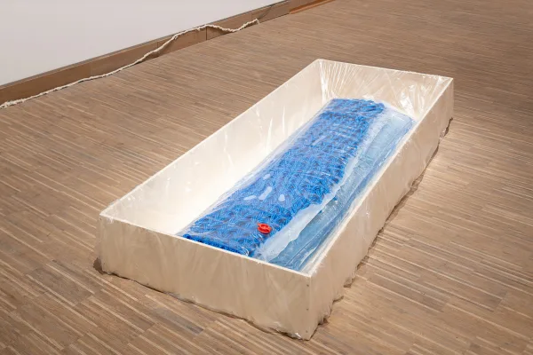 Aquarium - a utopian body