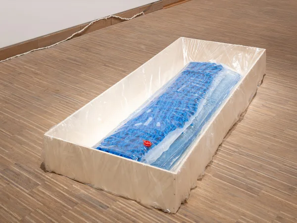 Aquarium - a utopian body