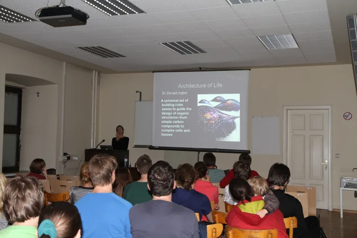 Lecture by Victoria Vesna, 16 June 2010. Photo © Art & Science Visualisation