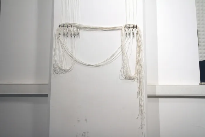 Juliana Herrero, with the participation of Pepa Bugueiro, Alin Cirstea, Franz Gruber, Ashley Holwell, Michael Mehling, David Palme and Nik Stutzle; *Acoustic Cloud*, Model 1:1, 2010