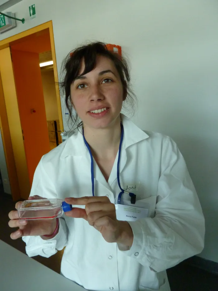 BioArt