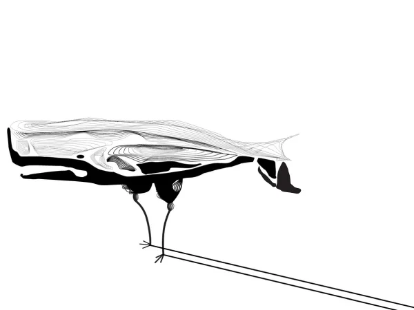 Birdfoot_Whale