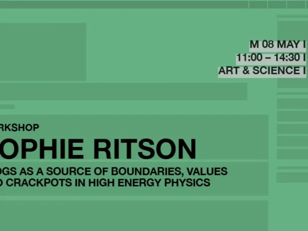 Blogs As A Source Of Boundaries, Values And Crackpots In High Energy Physics