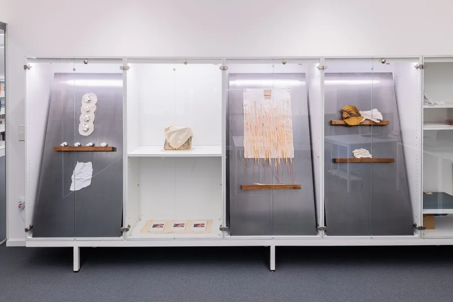 The Body as an Archive: A Journey Through the Marks and Memories We Bear.