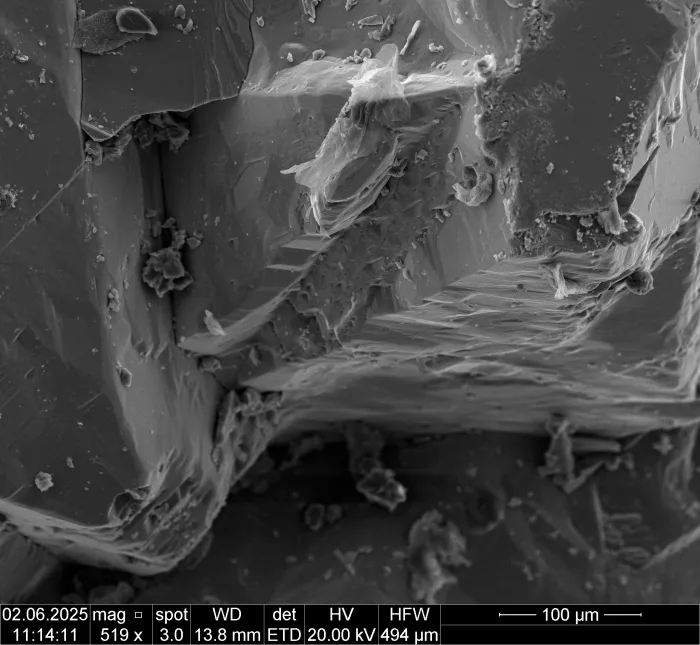 BOKU - Mini SEM Workshop