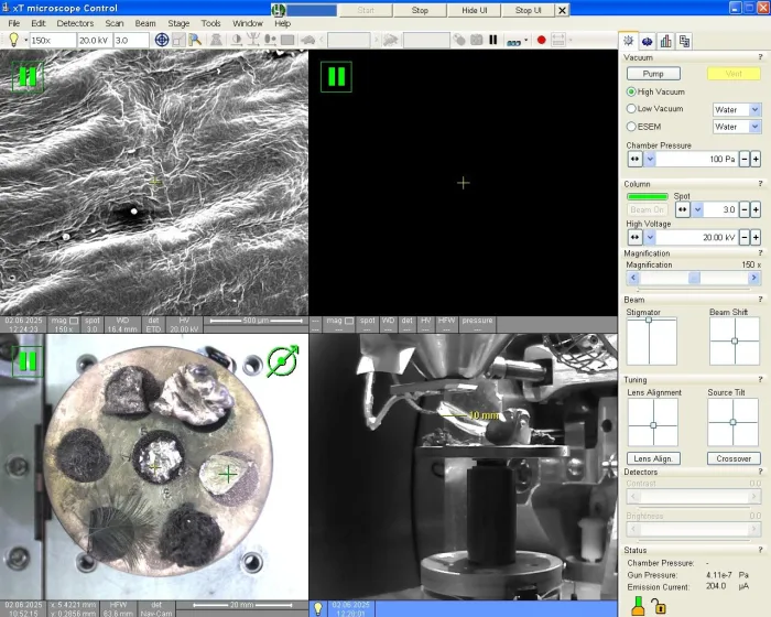 BOKU - Mini SEM Workshop