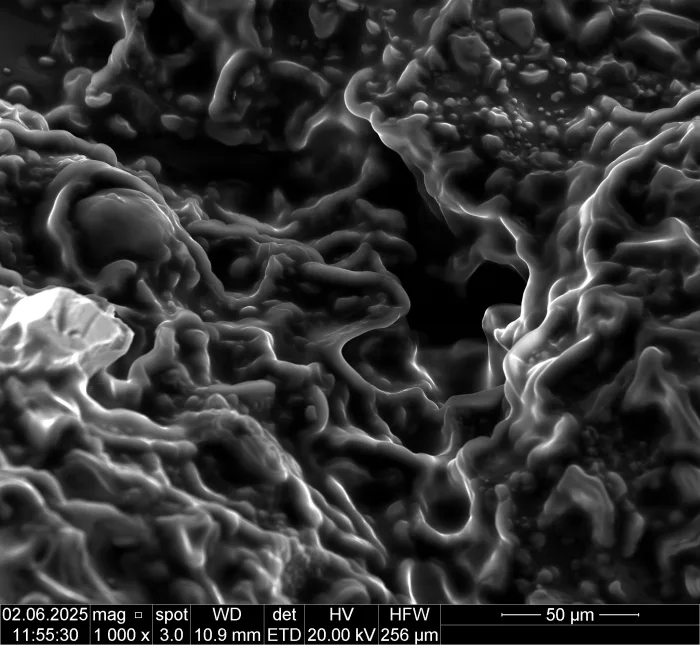 BOKU - Mini SEM Workshop