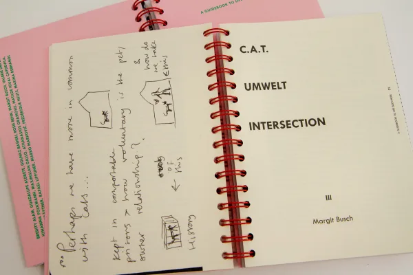 C.A.T. – Umwelt – Intersection