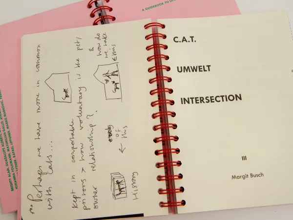 C.A.T. – Umwelt – Intersection