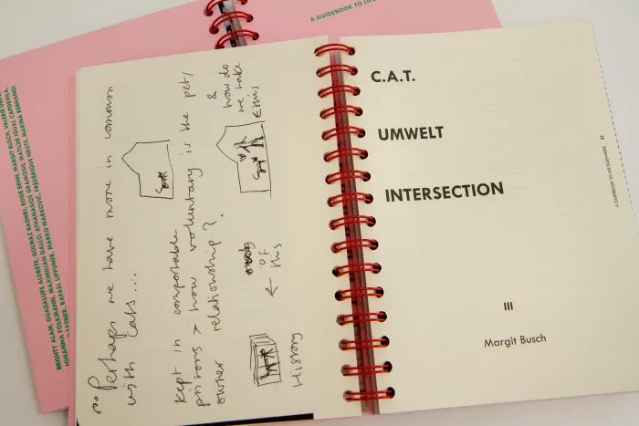 C.A.T. – Umwelt – Intersection