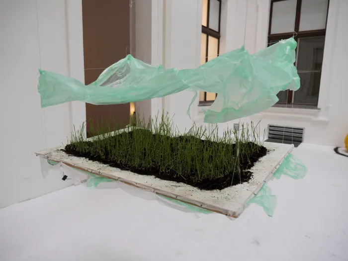 Anna Teglassy, THINKING WITH GARDENING (gardening with thinking), 2021