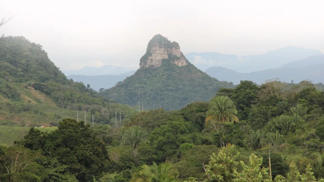 Carbon Payments as Means for facilitating transformative Change to a low GHG Emission Land Use