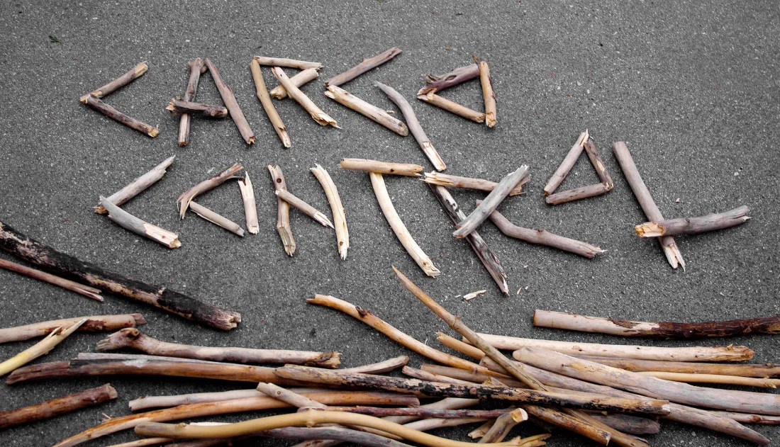Cargo Control