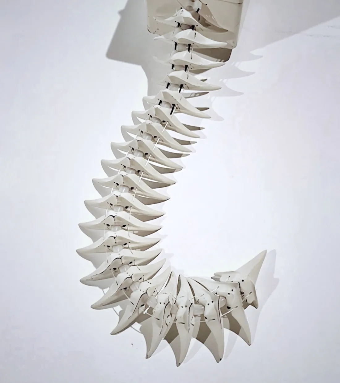 Chimera: the Animal, the Machine, and the Almost Human