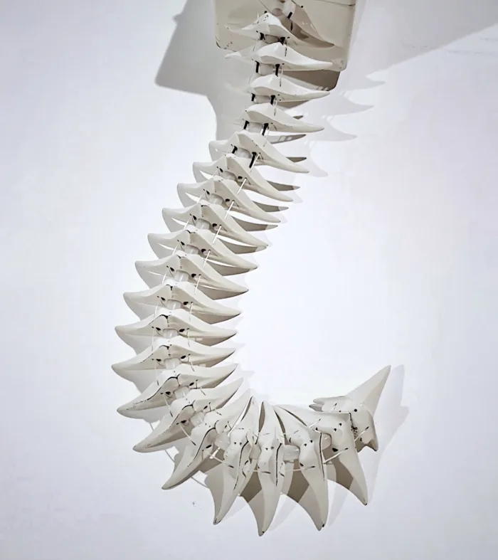Chimera: the Animal, the Machine, and the Almost Human