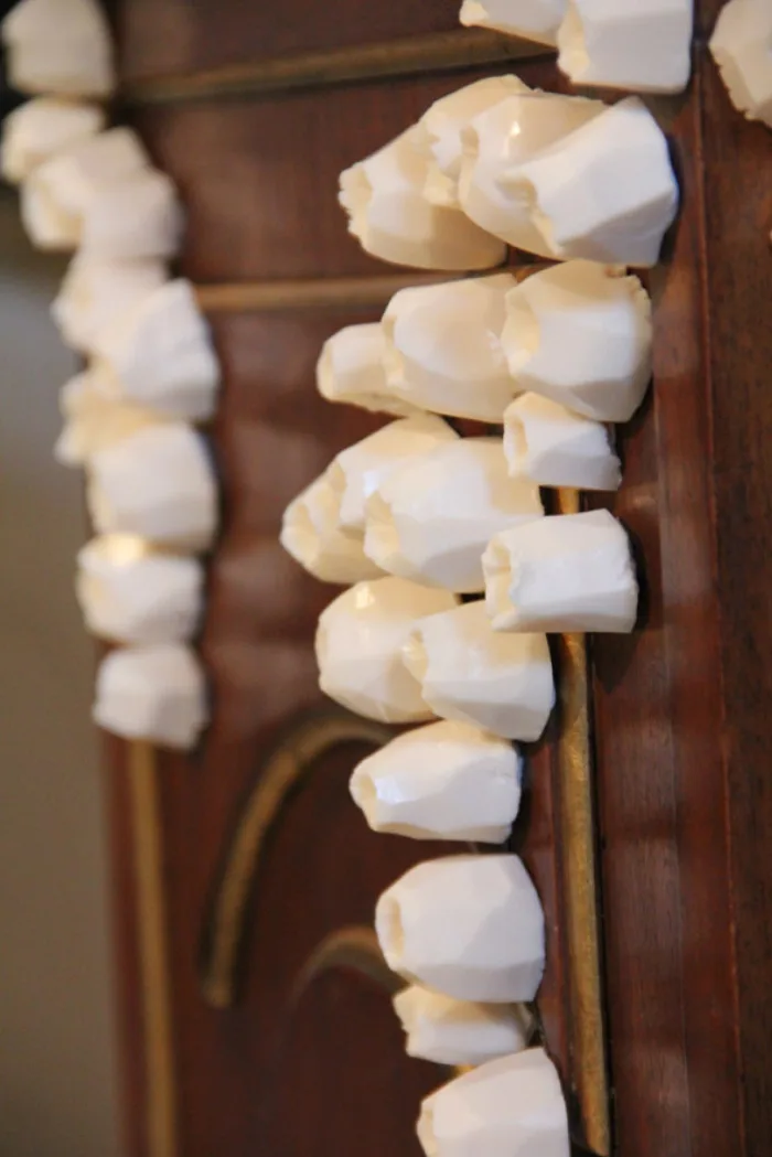 Cirripedia Ganeum