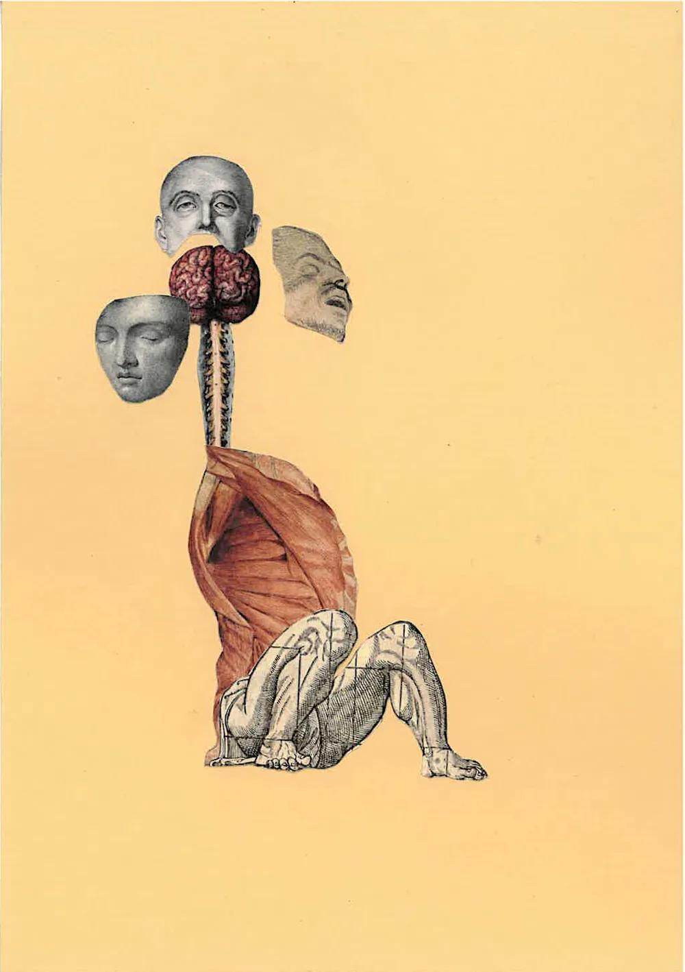 Consequences (Bodies of Knowledge)