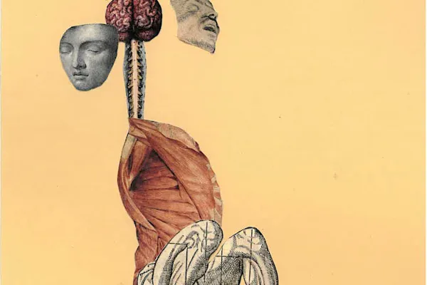 Consequences (Bodies of Knowledge)