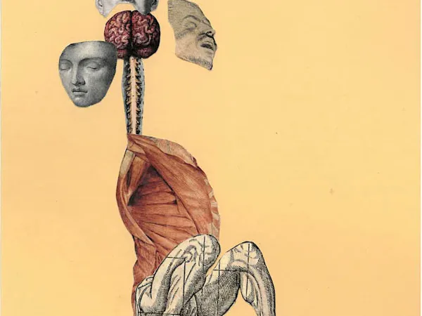 Consequences (Bodies of Knowledge)