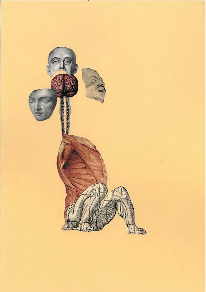 Consequences (Bodies of Knowledge)