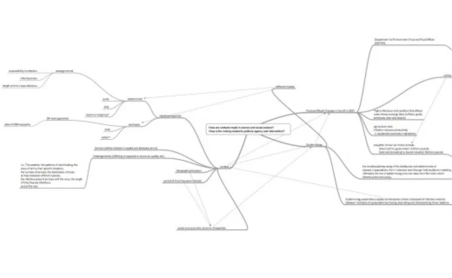 Contexts and Culling (John Law, Ingunn Moser) “Epidemiology in Foot & Mouth disease”