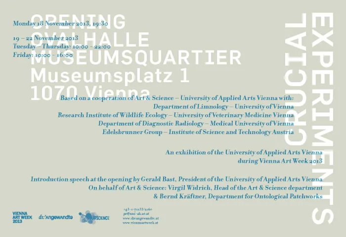 Graphic design by Pepa Bugueiro, Isidora Krstic, David Palme, Zahra Shahabi