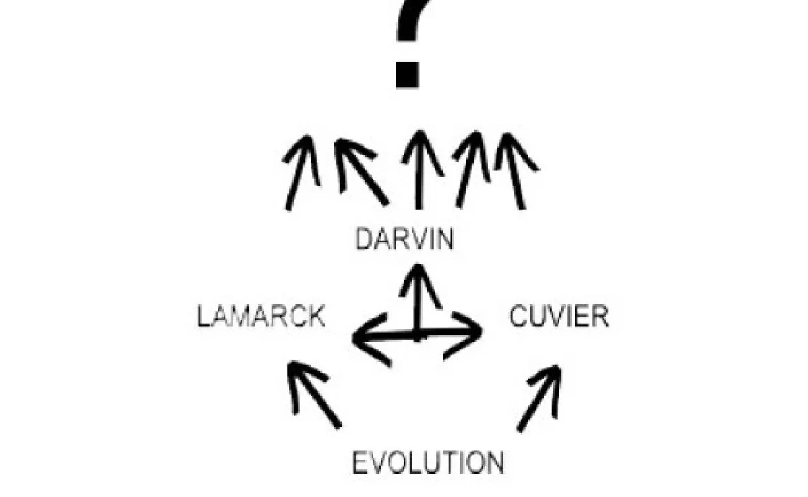 Different aspects of personal movement (from A to machines)