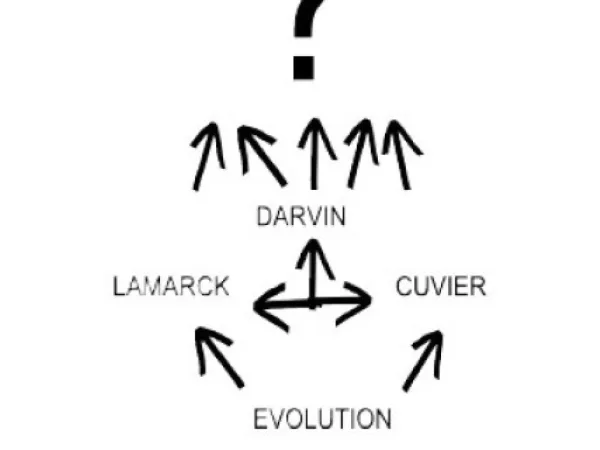 Different aspects of personal movement (from A to machines)