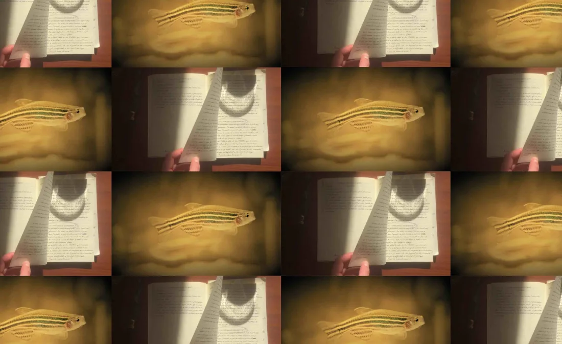does that make sense? | Art as/at work?