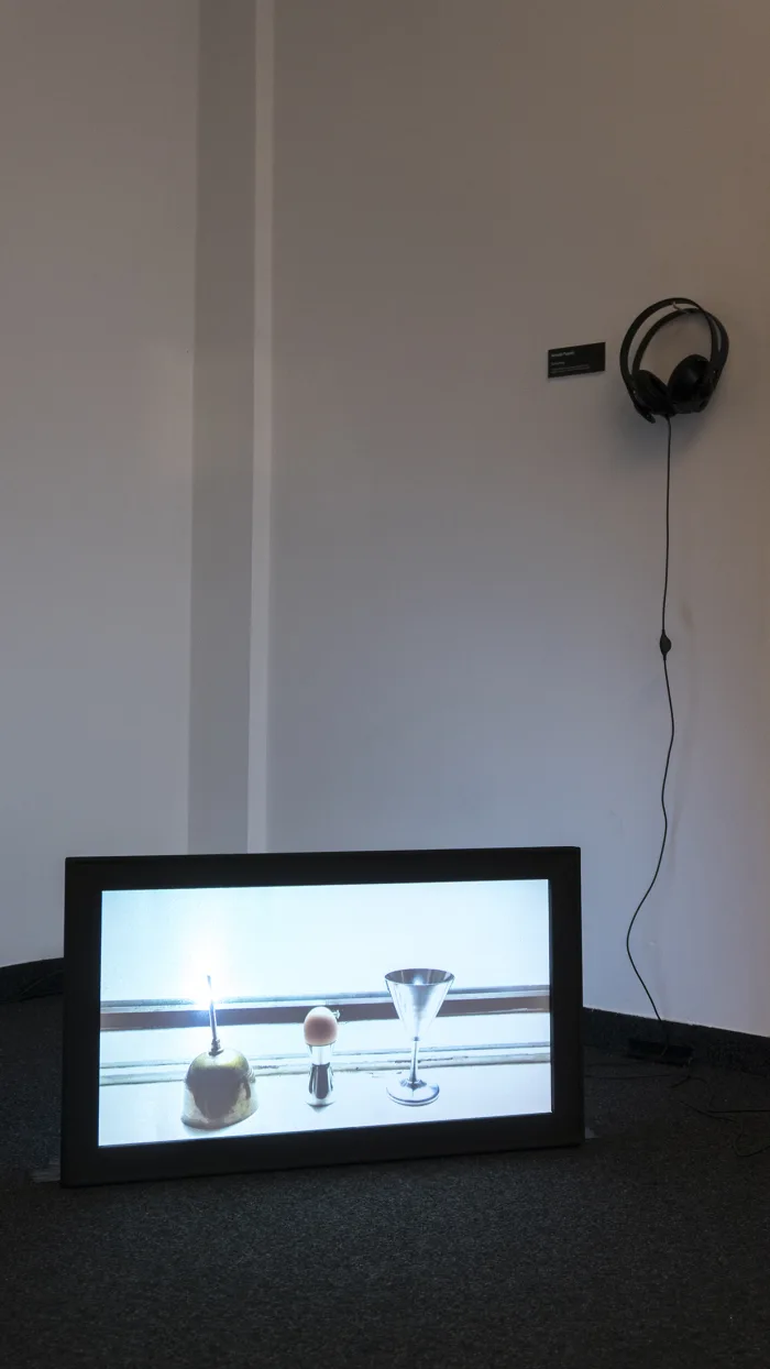 “Sometimes“ (video installation) by Nemanja Popadic