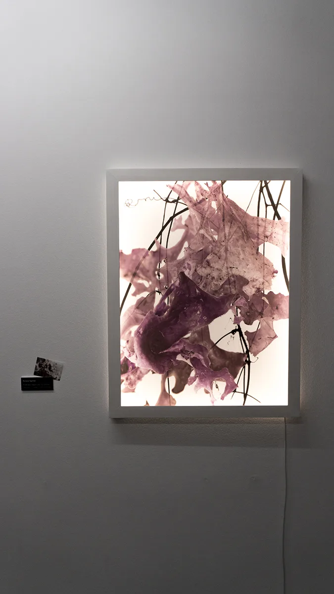 “Proliferation Object II (Ed. 1/3) 2019-20” by Romana Egartner — Romana Maria Egartner