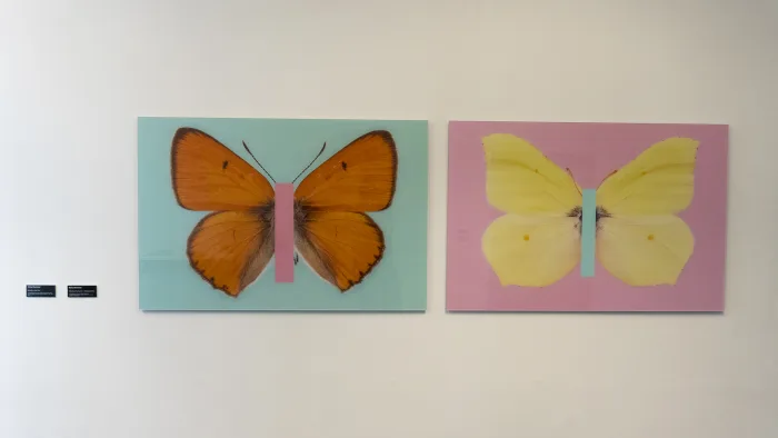 “#BeAButterflyYourself – Blühlinge Edition”  by Michael Bachhofer