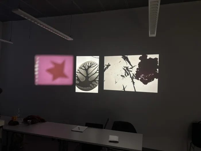 Projection Workshop — Martin Reinhart